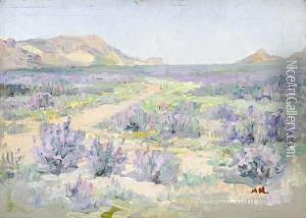 Purple Flowers In Bloom, Namaqualand Oil Painting - Hugo Pieter Naude
