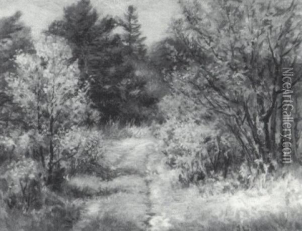 Path Through Delano Park Oil Painting - John Calvin Stevens