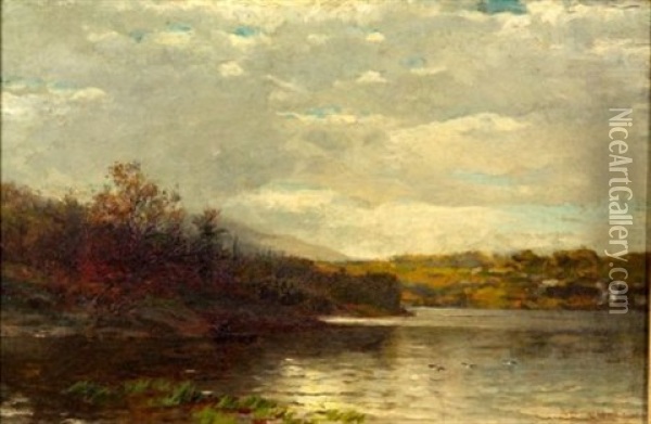 Pond With Ducks Alighting Oil Painting - George Herbert McCord