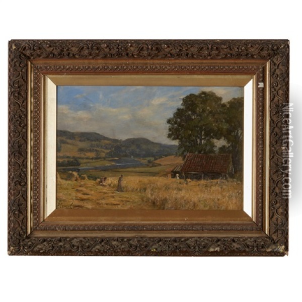 Harvest At Scoonieburn Oil Painting - Duncan Cameron