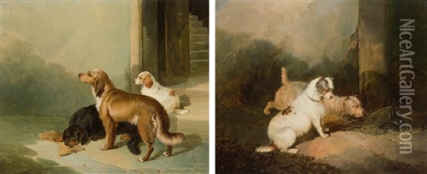 Gegenstucke: Zwei Hunde Vor Der Rattenfalle / Jagdhunde Am Ausruhen Oil Painting - Paul Jones