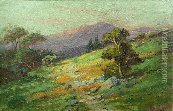 Wildflowers With Mt. Tamalpais In Thedistance Oil Painting - Arthur William Best