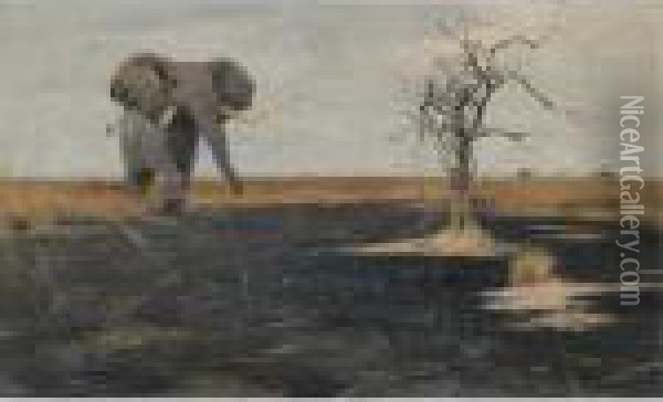 The Lone Elephant Oil Painting - Wilhelm Kuhnert