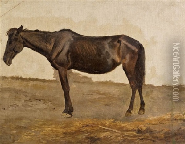 Pferd (study) Oil Painting - August Xaver Carl von Pettenkofen