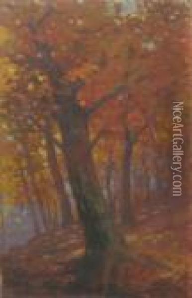 Forest In Autumn Oil Painting - Nicolae Tempeanu