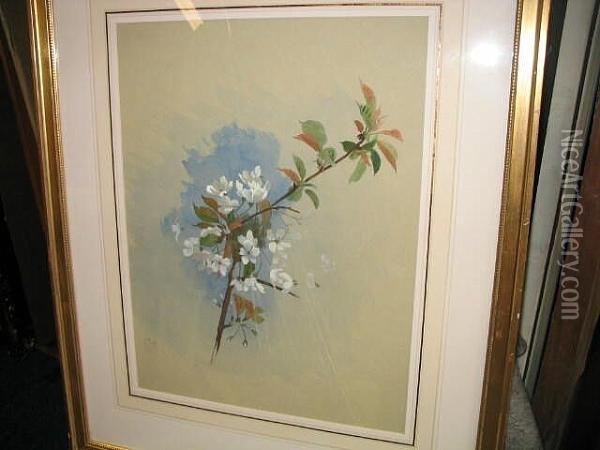 Apple Blossom Oil Painting - Archibald Thorburn