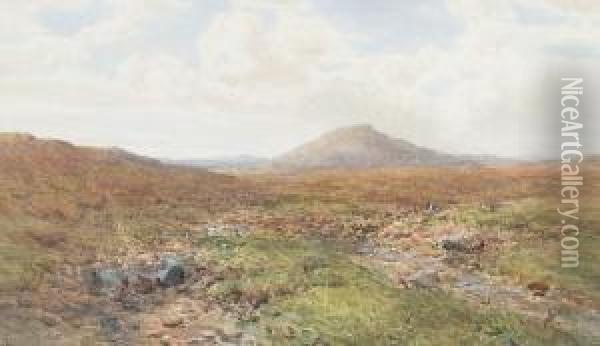 A View Of Dartmoor Oil Painting - Charles Branwhite