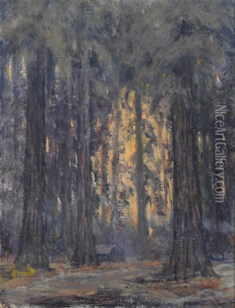 Redwoods Near Ben Bow Oil Painting - William Posey Silva