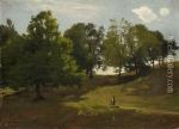 Baumgruppe In Hugeliger
 Landschaft. Oil Painting - Ludwig Willroider