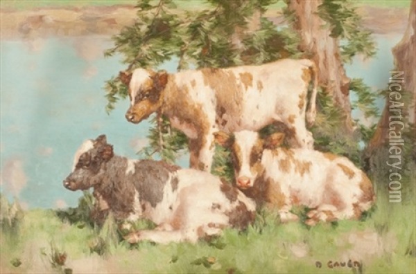 Three Calves By The Water's Edge Oil Painting - David Gauld