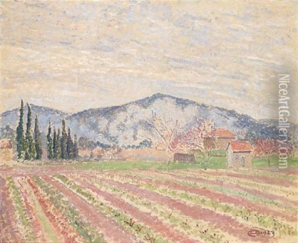 Cypress And Vines, Le Lavandou Oil Painting - Lucien Pissarro
