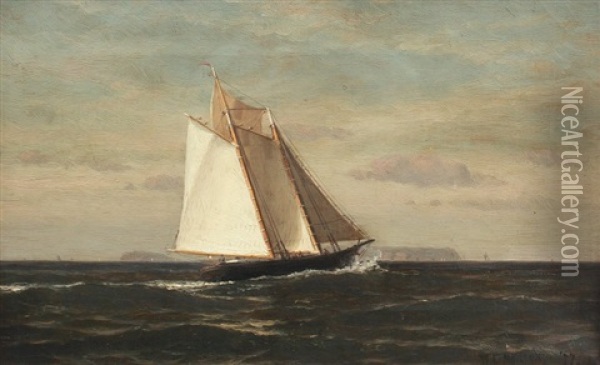 Sailing Off The Main Coast Oil Painting - William Edward Norton