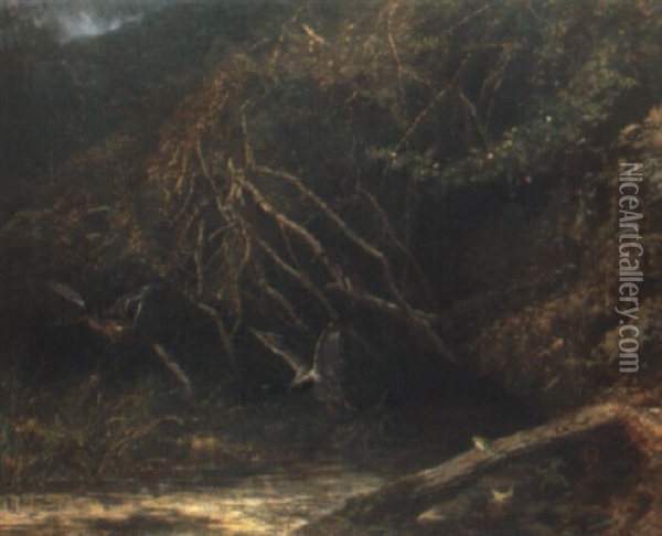 Wald Mit Enten Und Froschen Oil Painting - Karl Bodmer