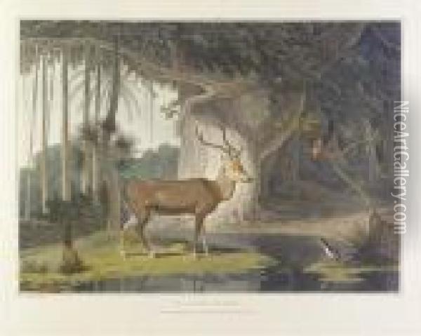 A Picturesque Illustration Of 
The Scenery, Animals, And Nativeinhabitants, Of The Island Of Ceylon. 
London: By T. Bensley,[1807]-1808 [watermarks: 'j, Whatman 1801']. Oil Painting - Samuel Daniell