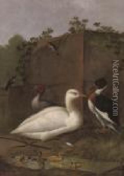 A Duck, A Mallard And Ducklings And Other Birds In A Clearing Oil Painting - Aert Schouman