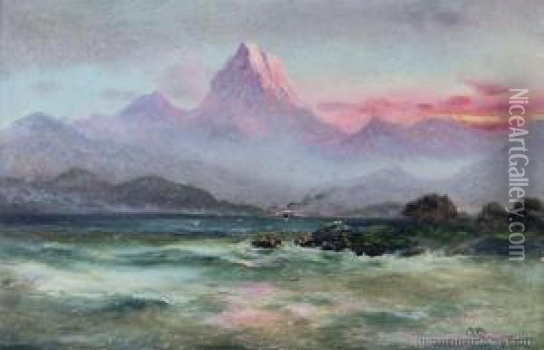Steamer & Mt Cook Oil Painting - James Peele