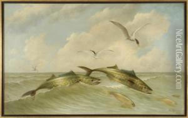 Seascape With Spanish Mackerel And Sea Gulls Oil Painting - Arnoud Wydeveld