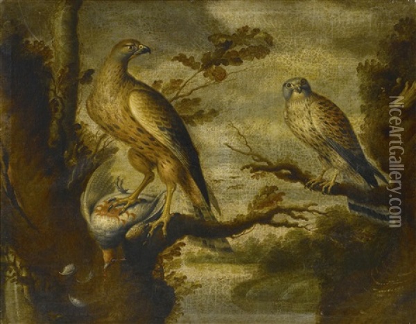 A Buzzard With A Dead English Partridge Watched By A Kestrel Oil Painting - Francis Barlow