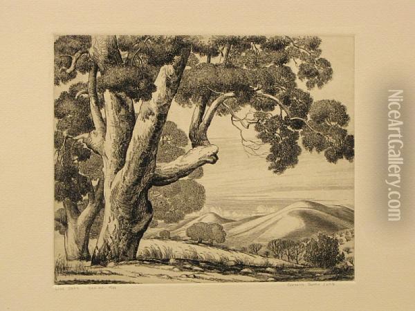 Live Oak; Mount Whitney Trail Oil Painting - Cornelis J. Botke