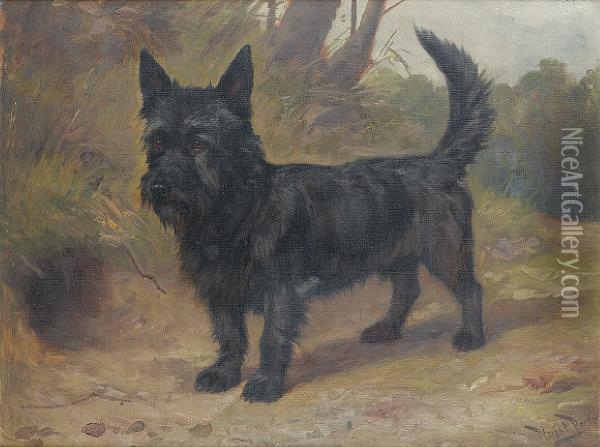 A Scottish Terrier Oil Painting - Wright Barker