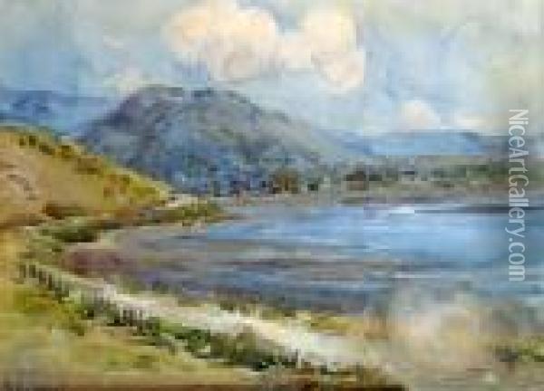 Road To Akaroa Oil Painting - Margaret Olrog Stoddart