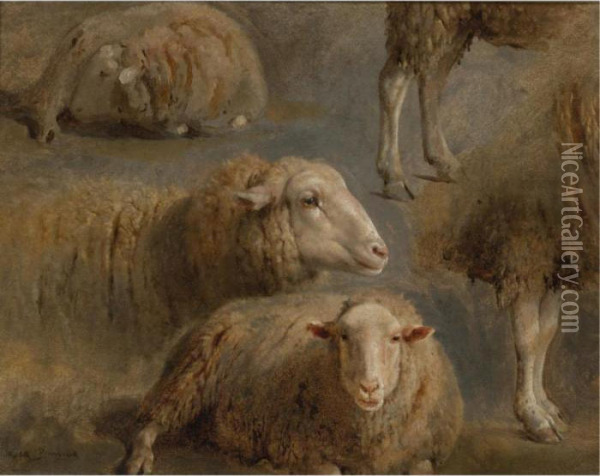 A Study Of Sheep Oil Painting - Rosa Bonheur