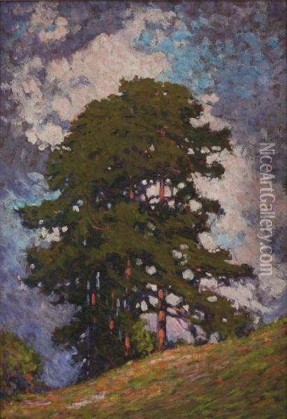 Hillside Trees Oil Painting - Franz Hans Johnston