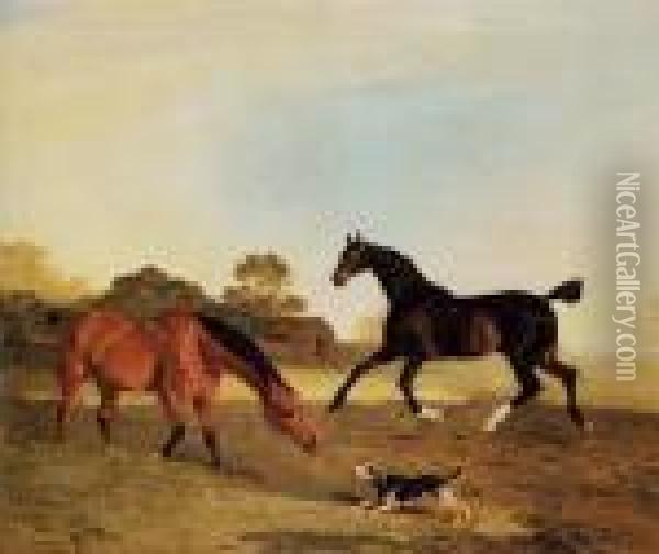 Light Bay And A Brown Hunter In A Paddock Startled By A Terrier Oil Painting - Benjamin Marshall