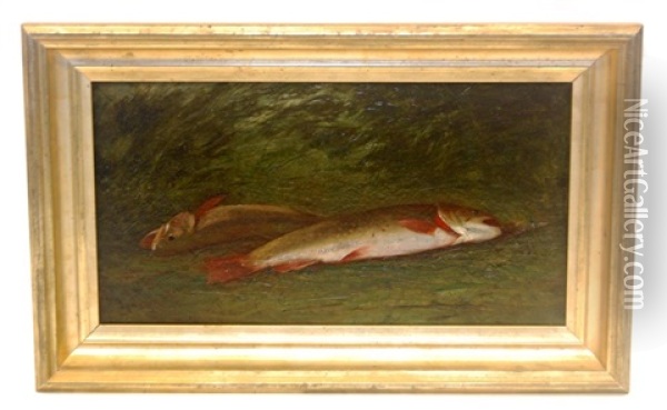 Ttwo Brook Trout Or Catch Of The Day, Circa 1870 Oil Painting - Frederick A. Spang