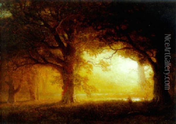 California Oaks Oil Painting - Albert Bierstadt