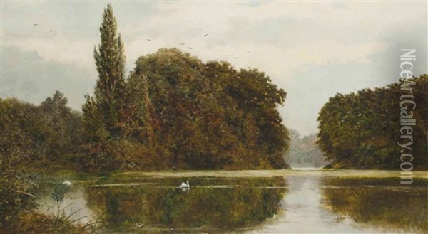 The Swan's Lake, Kew Gardens Oil Painting - John Surtees