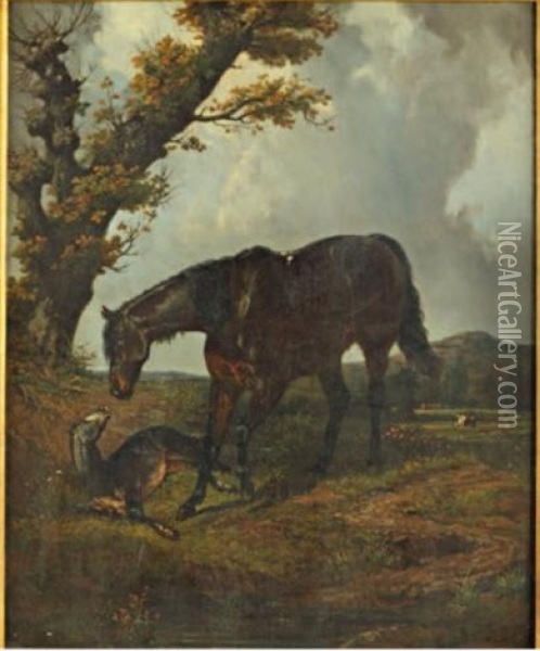 Jument Et Son Poulain Oil Painting - Henri d'Ainecy Montpezat