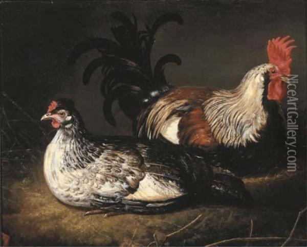 A Cockerel And A Hen Oil Painting - Abraham Van Calraet