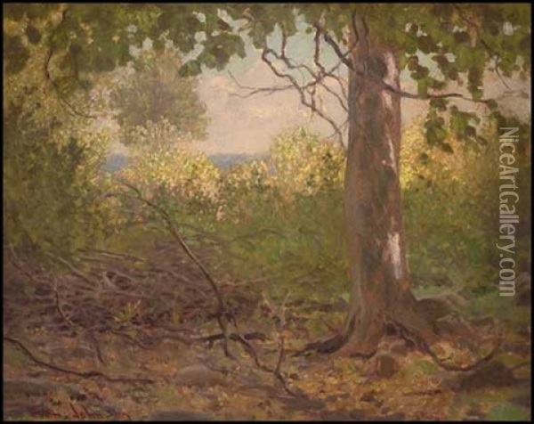 October Beech Oil Painting - Francis Hans Johnston