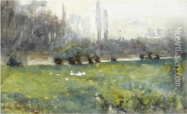Swans In A Meadow Oil Painting - Arthur Melville