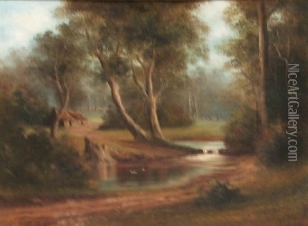 Sutherland Creek Oil Painting - Charles (Chas) Young