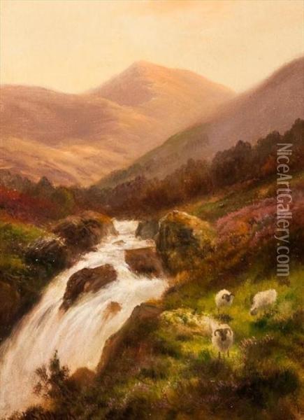 Highland Burn With Sheep Oil Painting - Daniel Sherrin