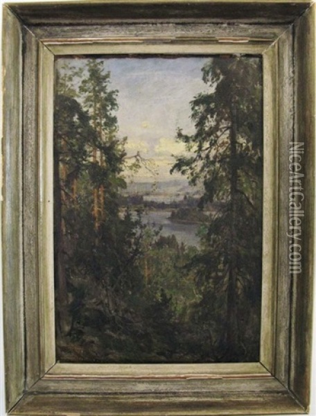 Am Christiania Fjord Oil Painting - Carl August Heinrich Ferdinand Oesterley