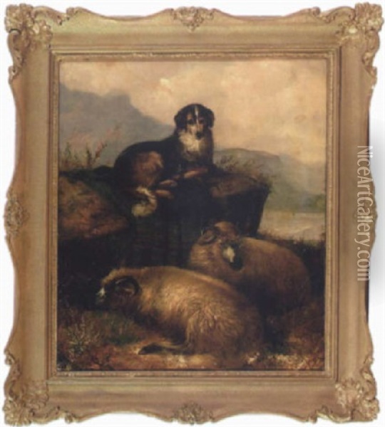 Vallhund Med Vilande Far Oil Painting - Anton Braith