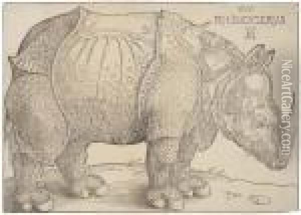Rhinoceros Oil Painting - Albrecht Durer