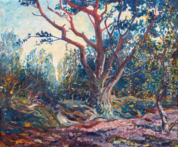 Heidelandschap Op De Veluwe Oil Painting - Chris Lanooy