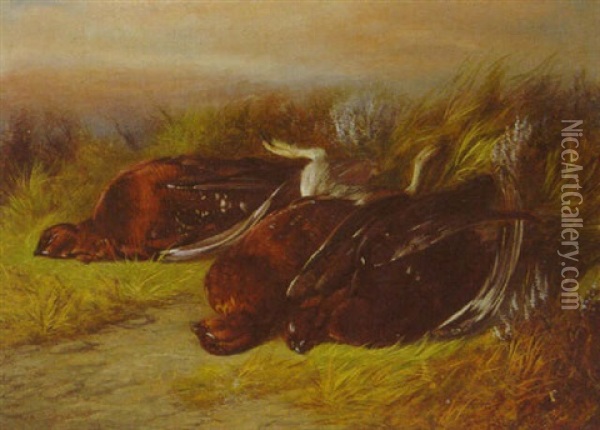 Grouse In A Highland Landscape Oil Painting - Colin Graeme