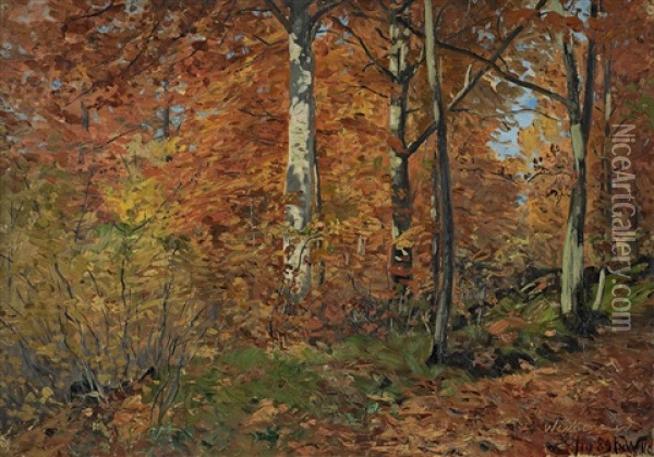 Herbstwald Im Harz Oil Painting - Fritz Von Wille