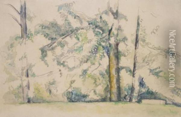 Les Grands Arbres Du Jas De Bouffan Oil Painting - Paul Cezanne