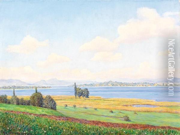 Bodenseelandschaft Mit Blick Auf Die Insel Reichenau An Einem Sonnigen Sommertag Oil Painting - Heinrich Lotter