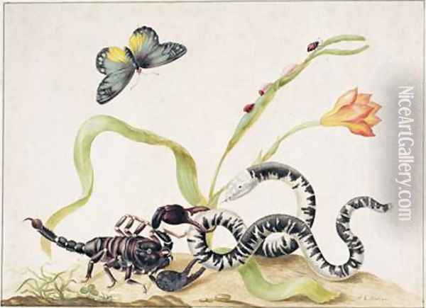 Scorpion and Snake Oil Painting - Maria Sibylla Merian