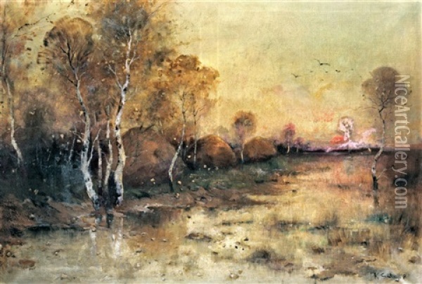 Marshy Landscape Oil Painting - Bela Von Spanyi
