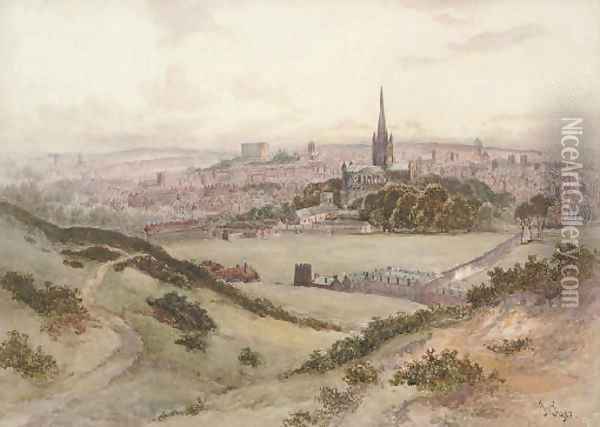 An extensive view of Norwich Oil Painting - John Syer
