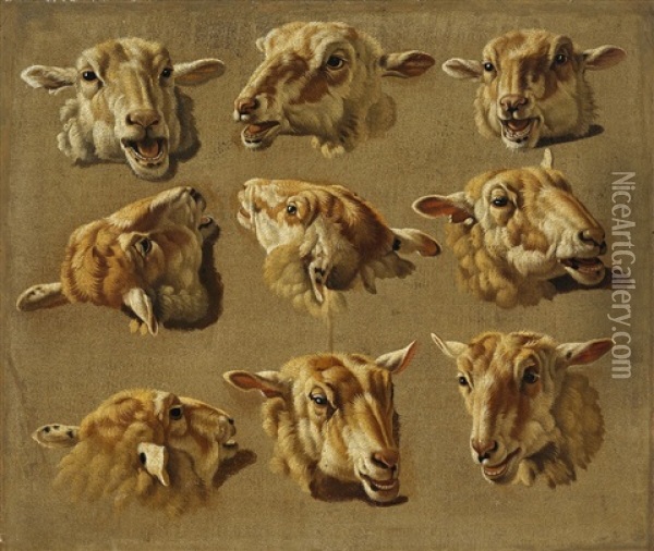 Study Of Sheep's Heads Oil Painting - Jacques Raymond Brascassat