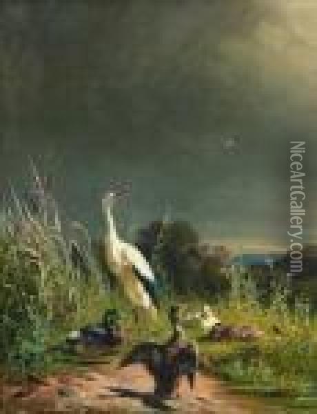 Storch Und Enten Oil Painting - Carl Jutz